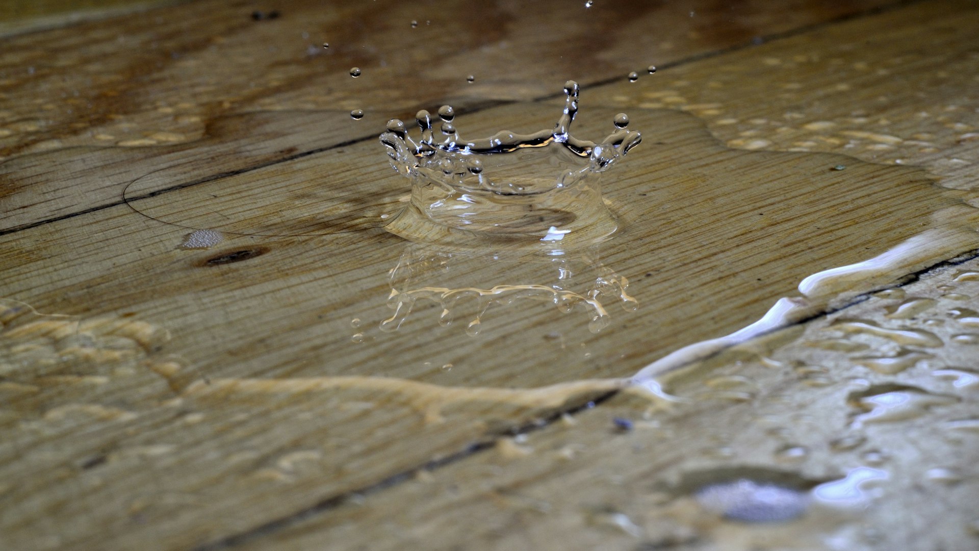 Extracción de agua en una casa de Orlando