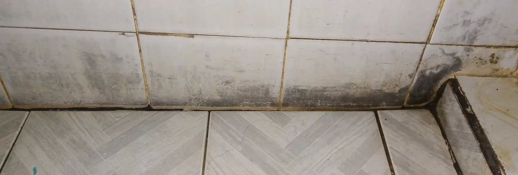 Moho negro creciendo sobre una superficie de una casa