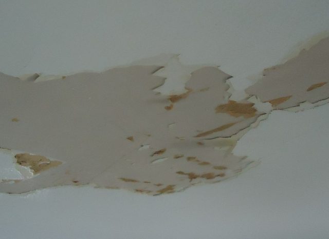 Pintura levantada y daño por humedad en un techo